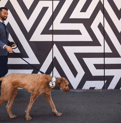 A Man Standing Next To A Dog